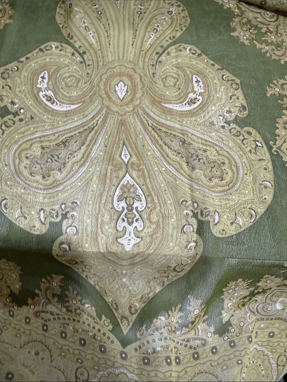 Olive Green Paisley Border Scarf - Women Accessories Scarves & Wraps 64” by 21”
